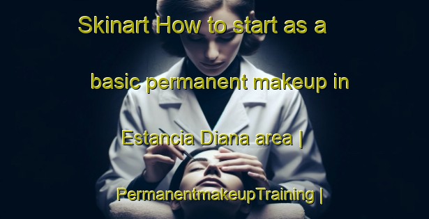 Skinart How to start as a basic permanent makeup in Estancia Diana area | PermanentmakeupTraining | PermanentmakeupClasses | SkinartTraining-Paraguay